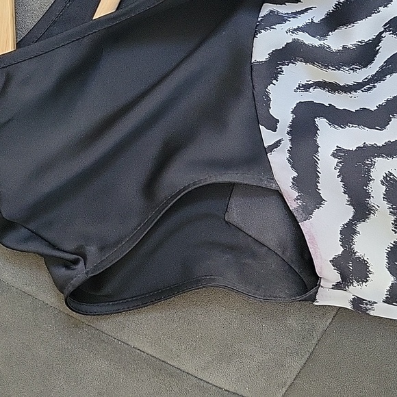 Express Zebra stripe dress - Picture 4 of 5